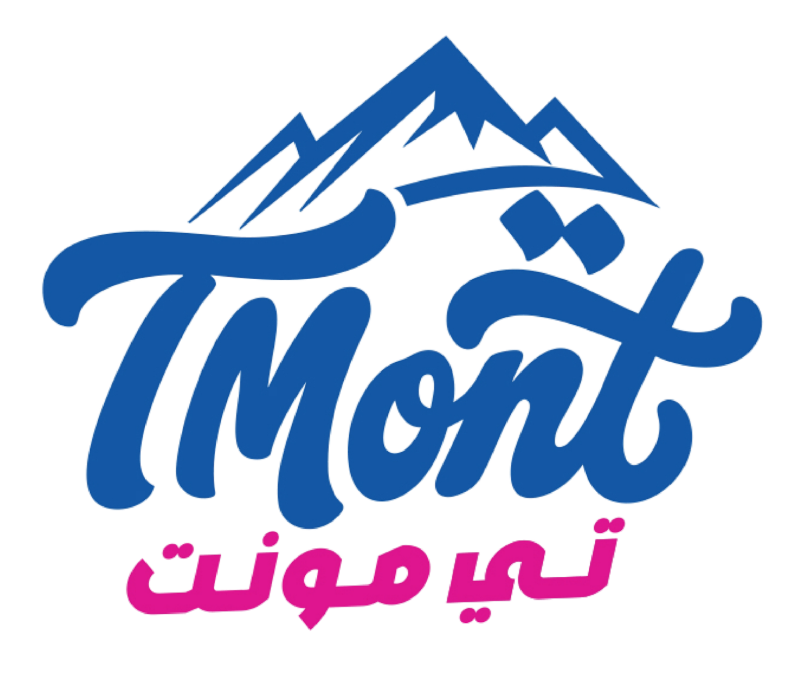 tmontt.com